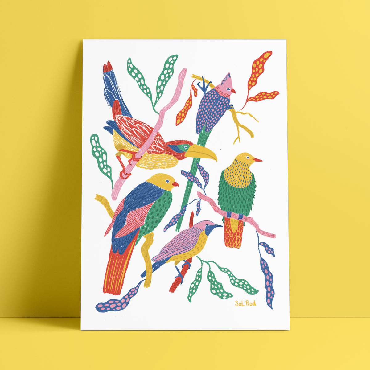 Print 25 "Aves de colores"