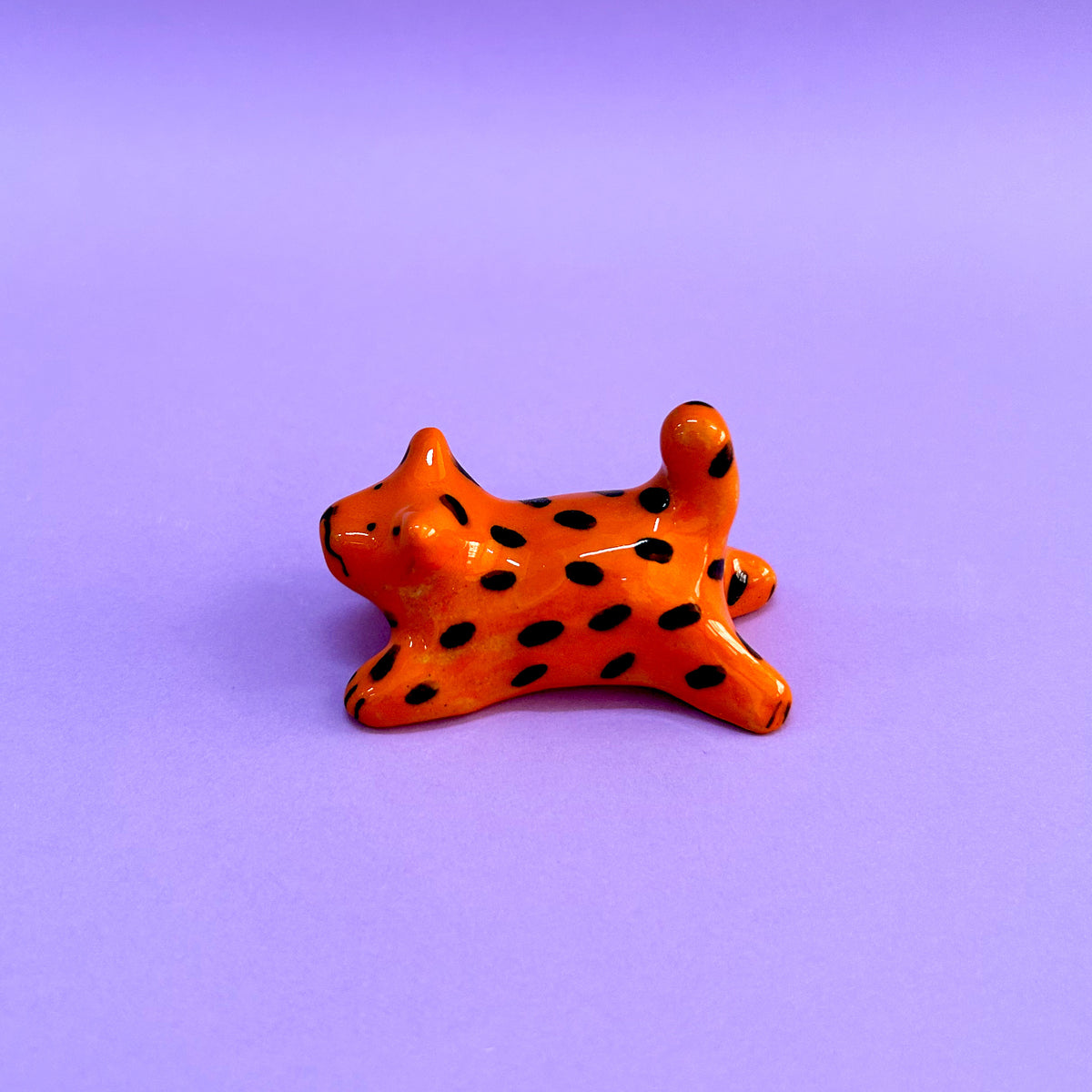 gatito naranja