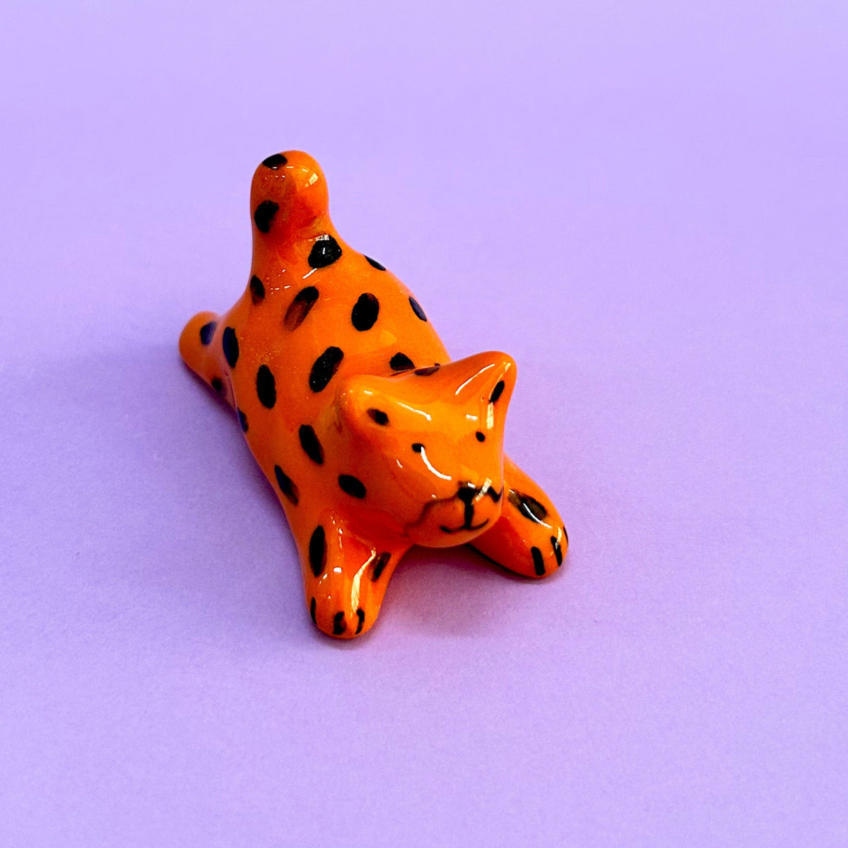 gatito naranja